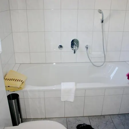 Rosenberg-siedlung 21 青斯特